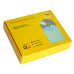 Bustina cd / dvd con flap (100 pezzi)
