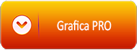 PDF icon